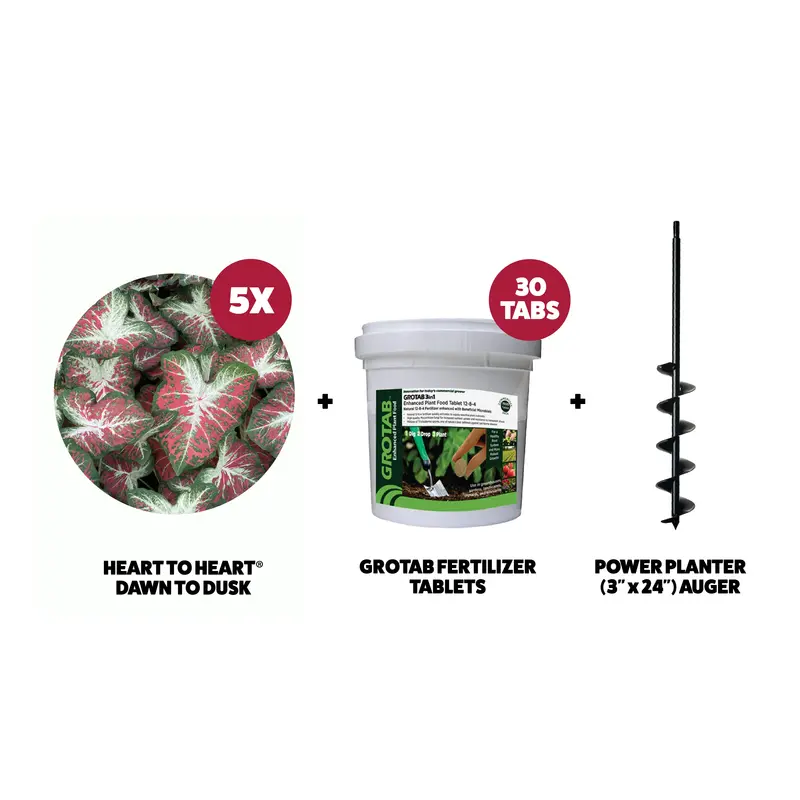 Ergonomic Standing Bulb Planting Kit – Premium Garden Bundle 1